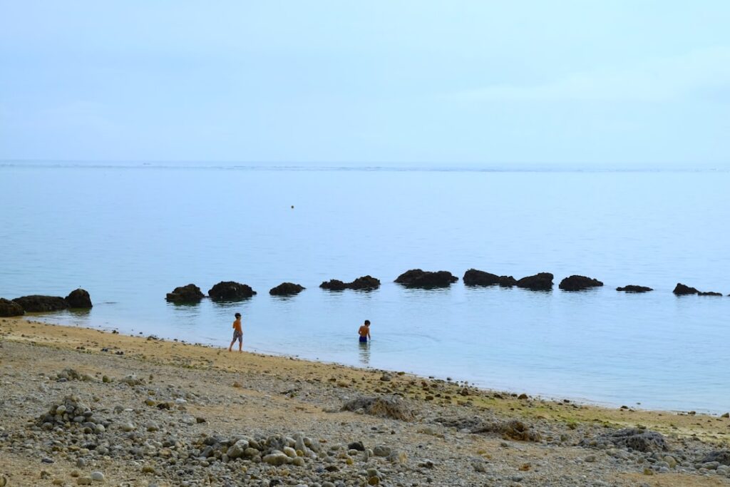 石垣島のグルメ（イメージ）