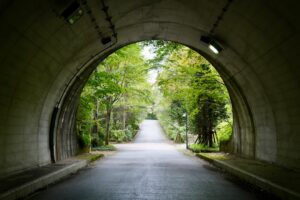 旧軽井沢の新緑散策（イメージ）